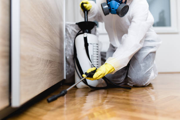 Best Bed Bug Extermination  in Fairbank, IA