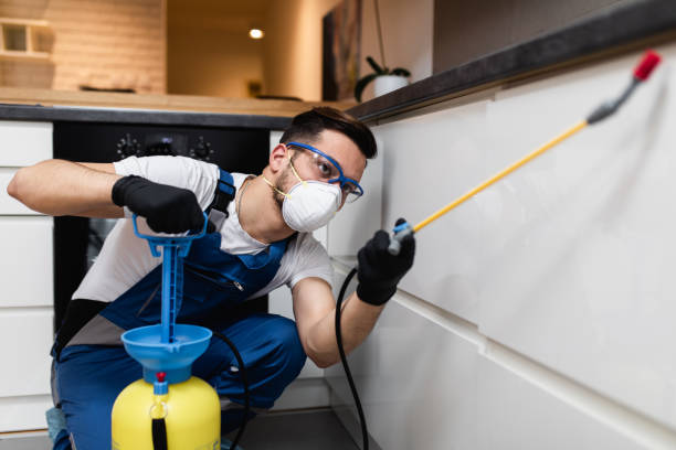 Best Affordable Pest Control Services  in Fairbank, IA