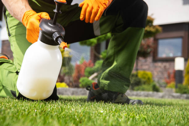 Best Wildlife Control Services  in Fairbank, IA