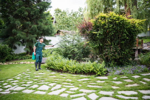 Professional Pest Control in Fairbank, IA