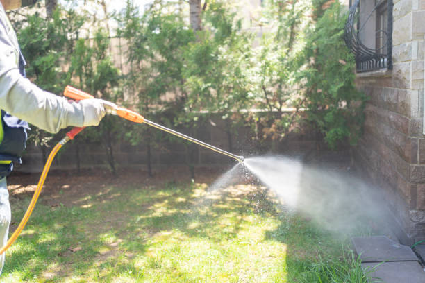 Best Mosquito Control Services  in Fairbank, IA