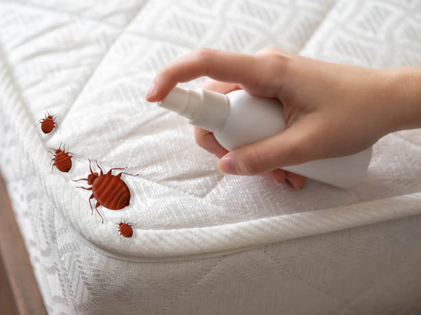 Best Pest Control for Businesses  in Fairbank, IA