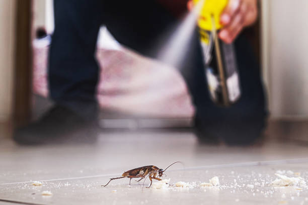 Best Best Pest Control Companies  in Fairbank, IA