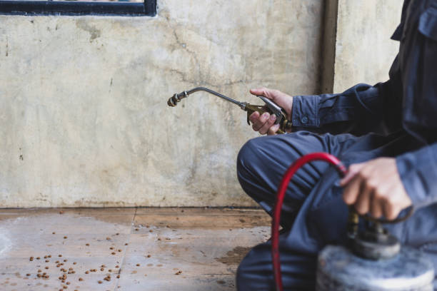 Best Exterminator Services  in Fairbank, IA